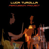 Luca Turolla Percussion Project
